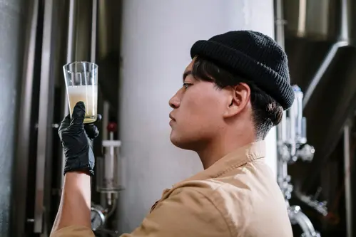 Male employee checking colour of beer