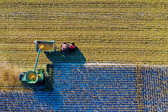 Tractor in a field